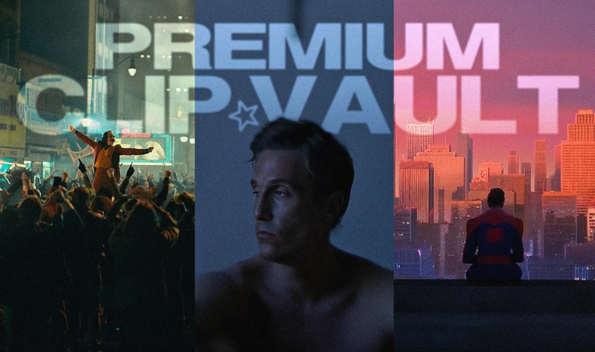 PREMIUM CLIP VAULT